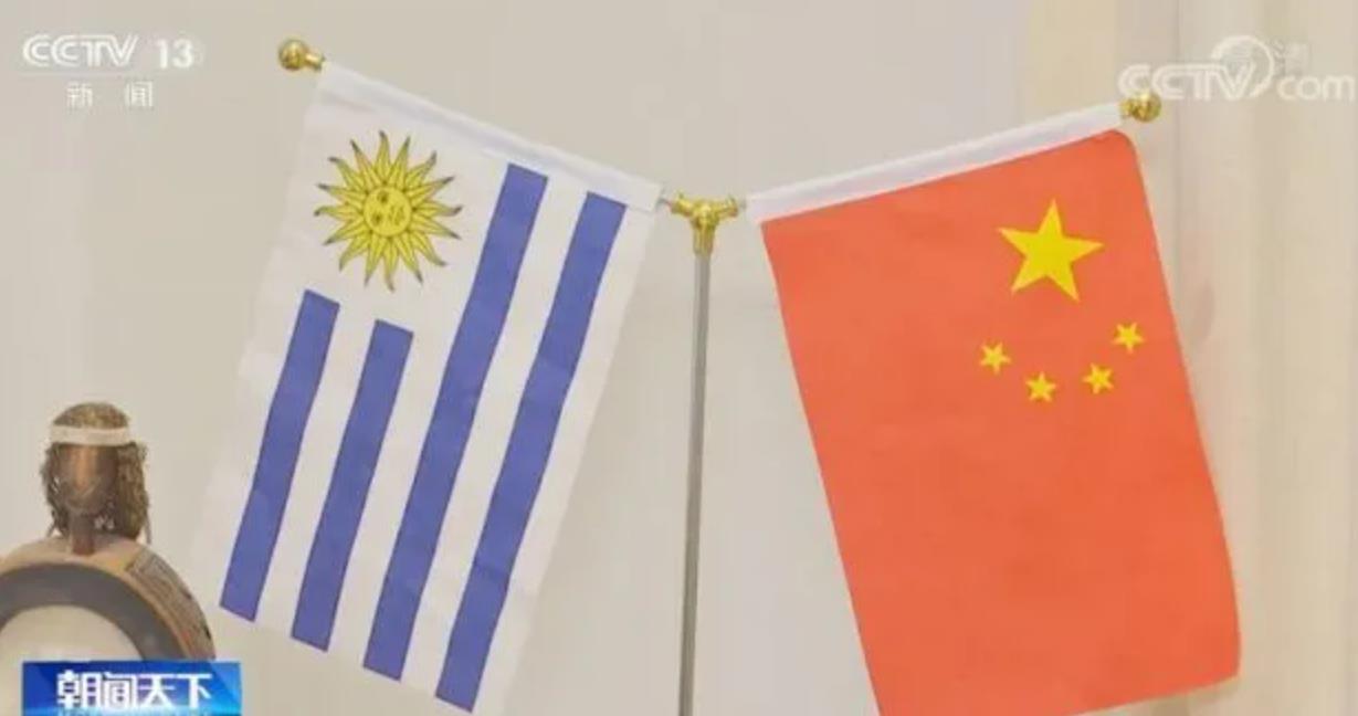 乌拉圭驻华大使：中国全体人民共同富裕的现代化正在变为现实